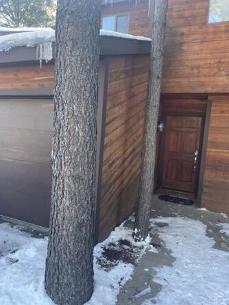 Cozy Flagstaff Home In Cool Pines - Country Club Екстер'єр фото